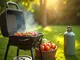 effizientes-grillen-tipps-zur-optimalen-nutzung-von-gasflaschen-im-sommer