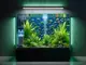 strom-sparen-im-aquarium-tipps-fuer-eine-energieeffiziente-unterwasserwelt